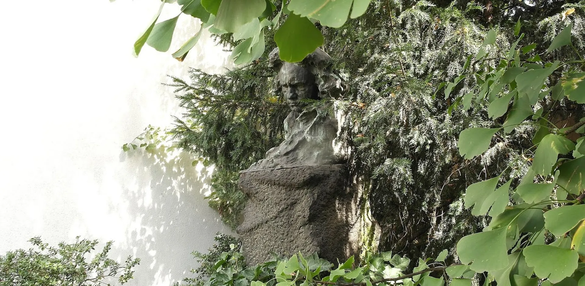 Eibenzweige und Ginkgoblätter umrahmen die große Beethoven-Büste im Garten des Beethoven-Hauses. Der Ginkgo wurde 1971 von Kaiser Hiroito gepflanzt.